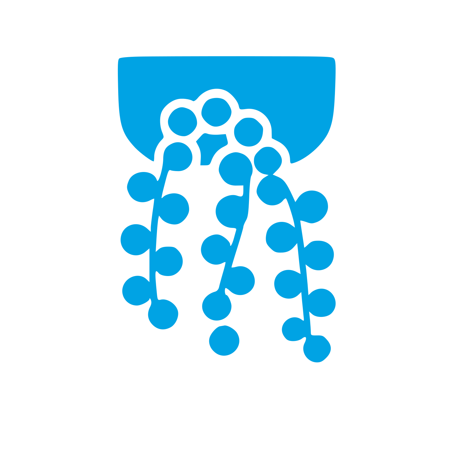 Hanging Succulent Plant Logo #00a3e4