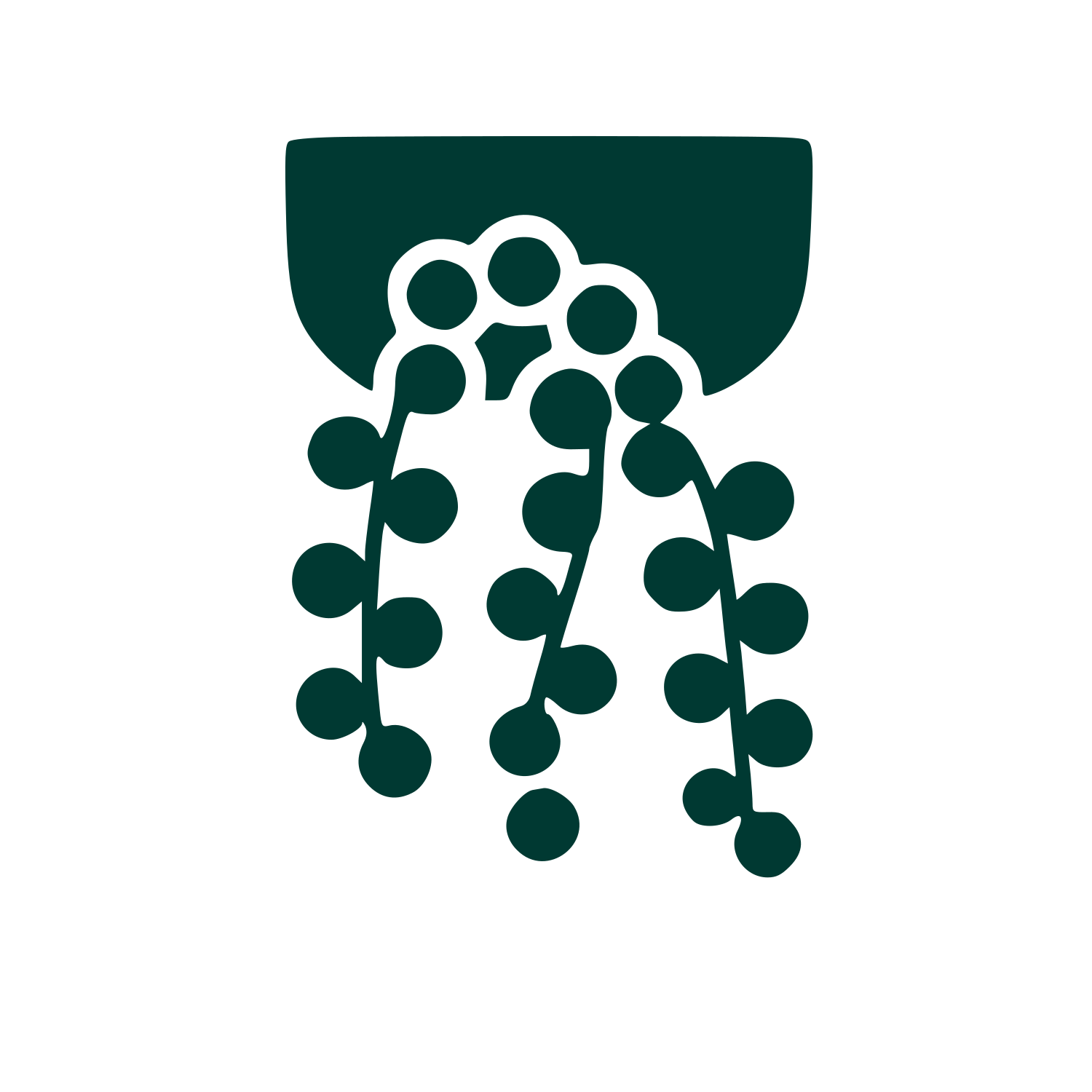 Hanging Succulent Plant Logo #003932