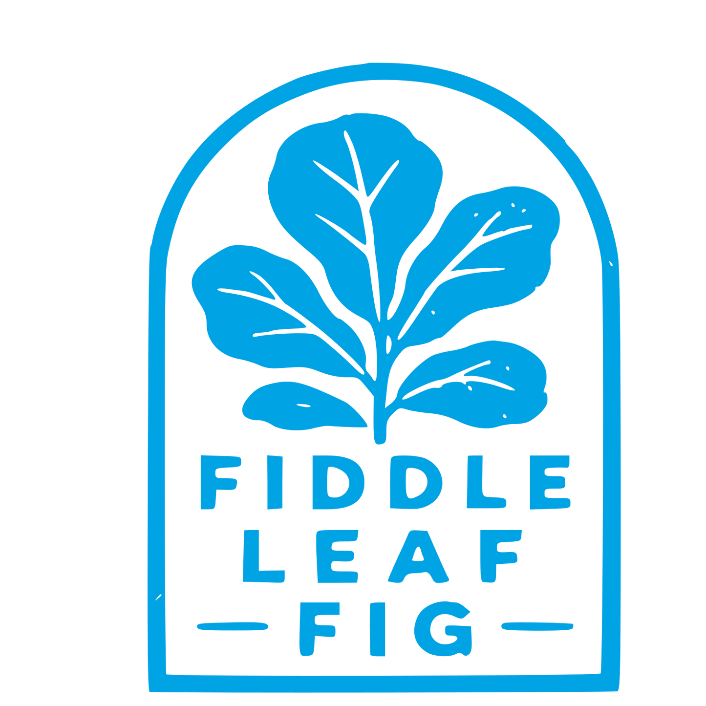 Fiddle Leaf Fig Badge Logo #00a3e4