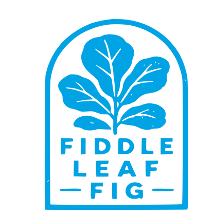 Fiddle Leaf Fig Badge Logo #00a3e4
