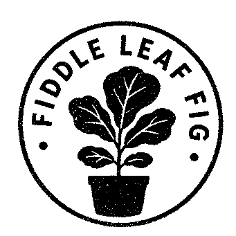 Fiddle Leaf Fig Badge Logo