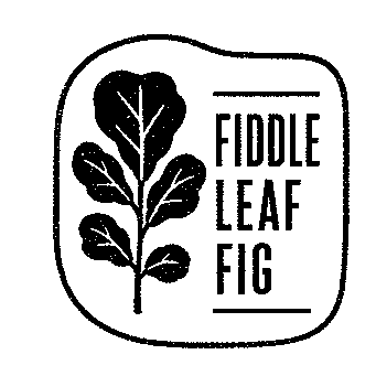 Fiddle Leaf Fig Plant Logo