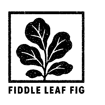 Fiddle Leaf Fig Plant Logo