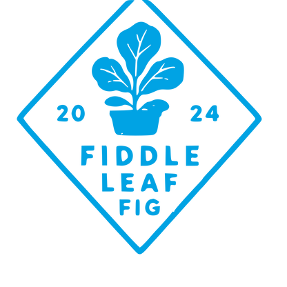 Fiddle Leaf Fig Badge Logo #00a3e4