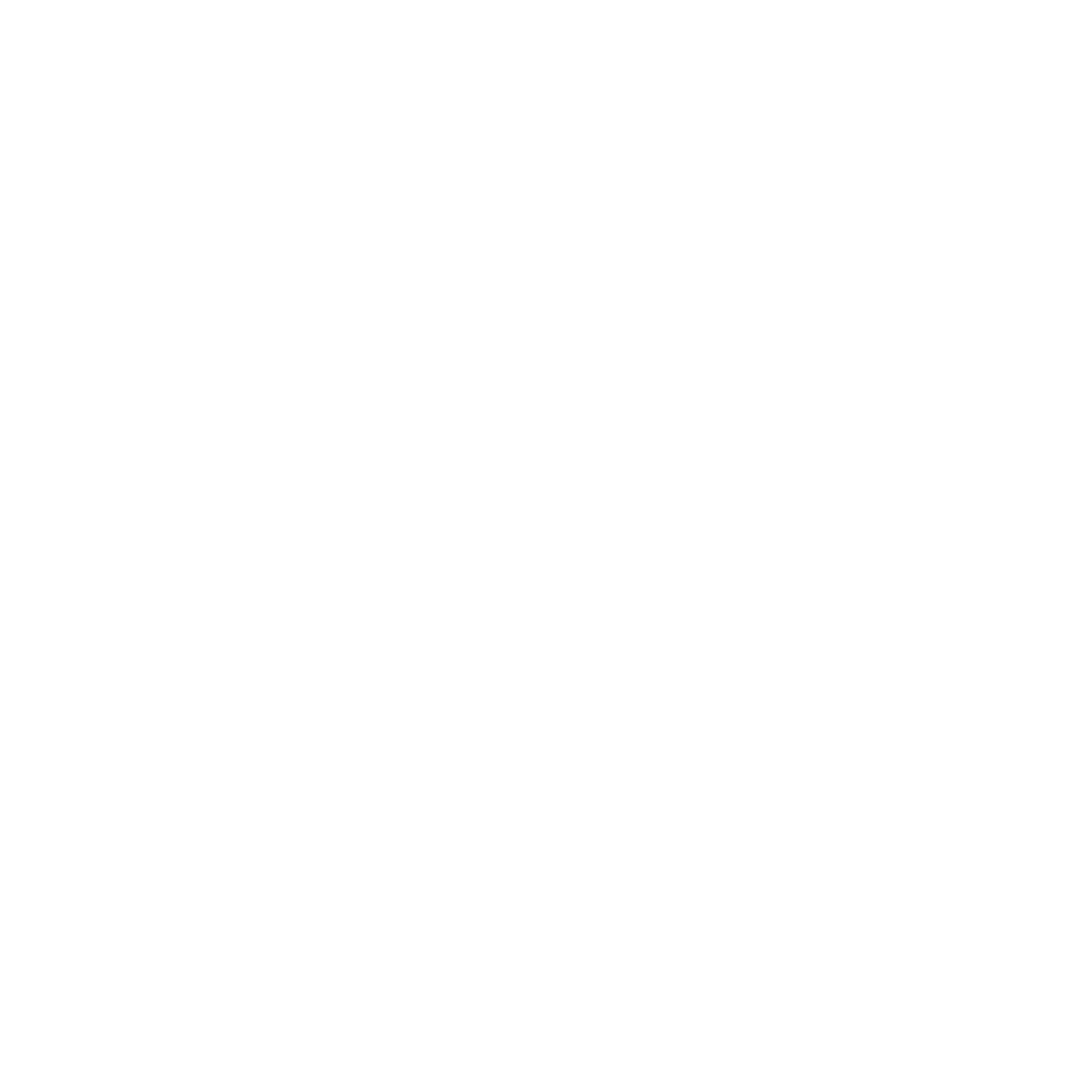 Wave and Van Logo #ffffff