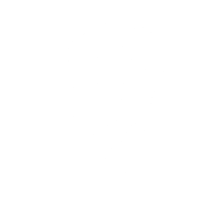 Monoline Padel Racket Logo #ffffff