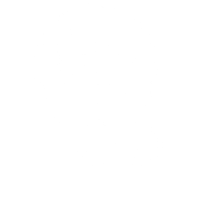 Monoline Padel Racket Logo #ffffff