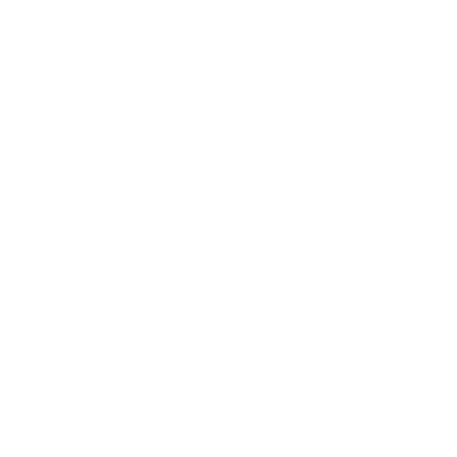 Pickleball Paddle Negative Space Logo #ffffff