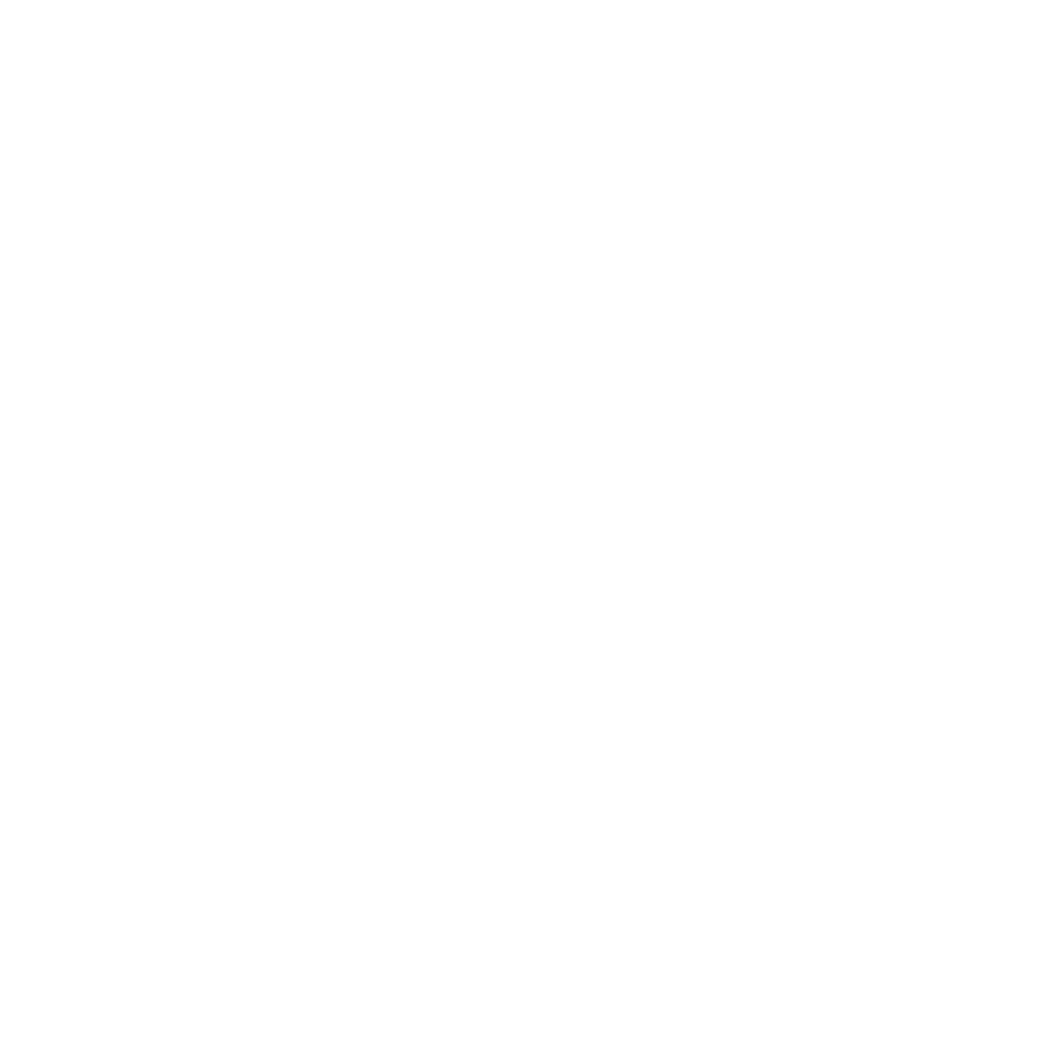 Pickleball Paddle Map Pin Logo #ffffff