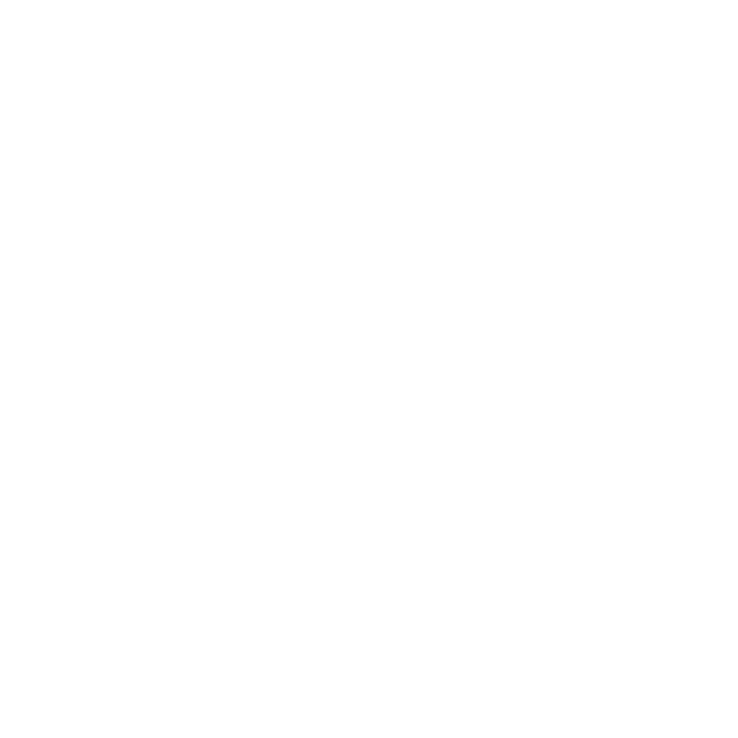 Pickleball Paddle Circle Logo #ffffff
