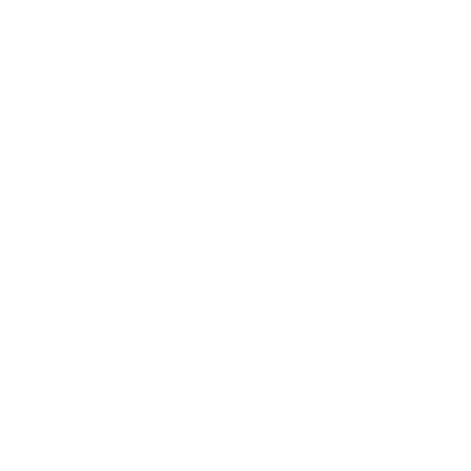 Pickleball Paddle Circle Logo #ffffff