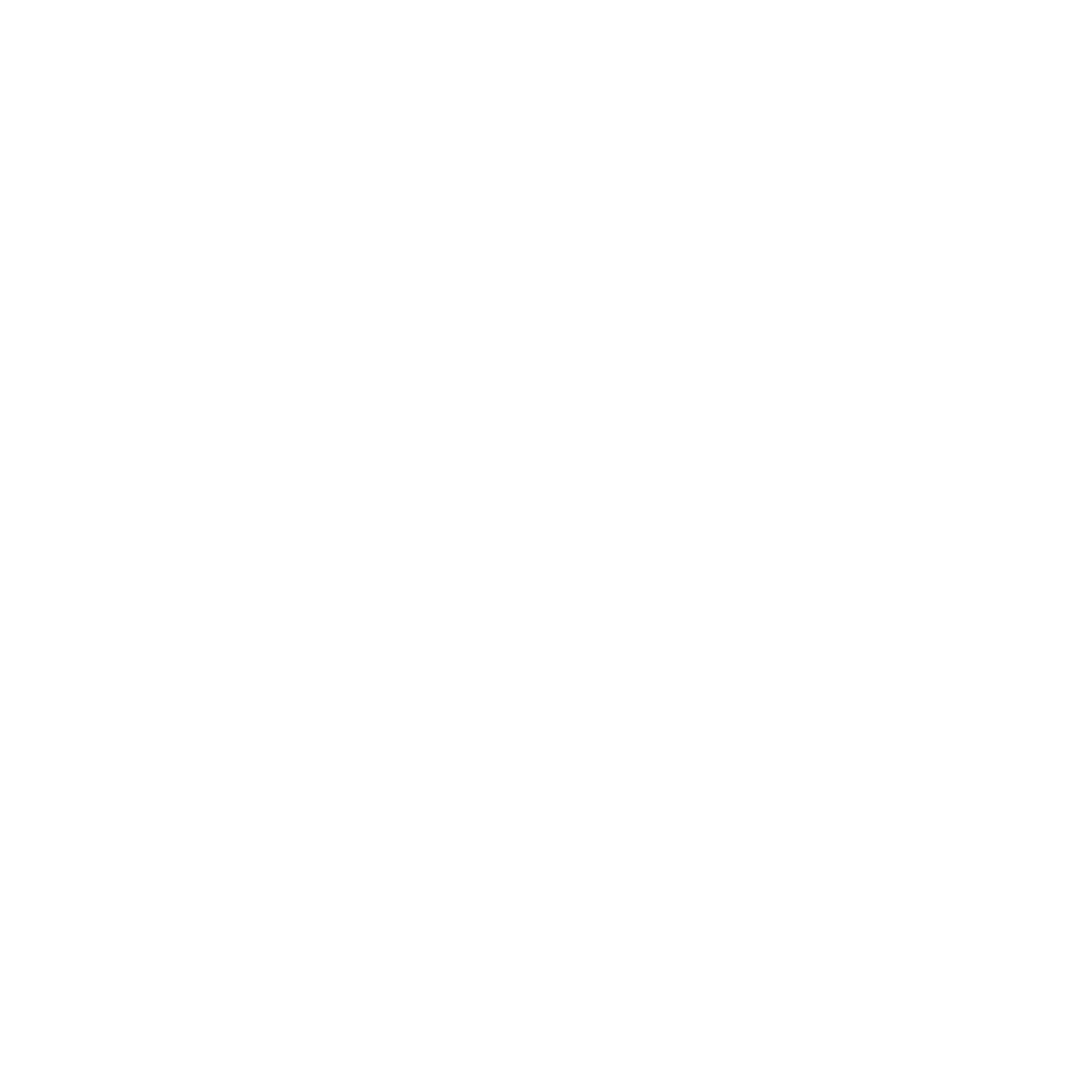 Flaming Pickleball Paddle Logo #ffffff
