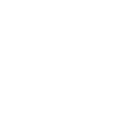 Flaming Pickleball Paddle Logo #ffffff