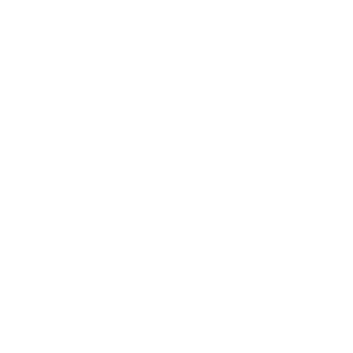Disc Golf Basket Logo #ffffff
