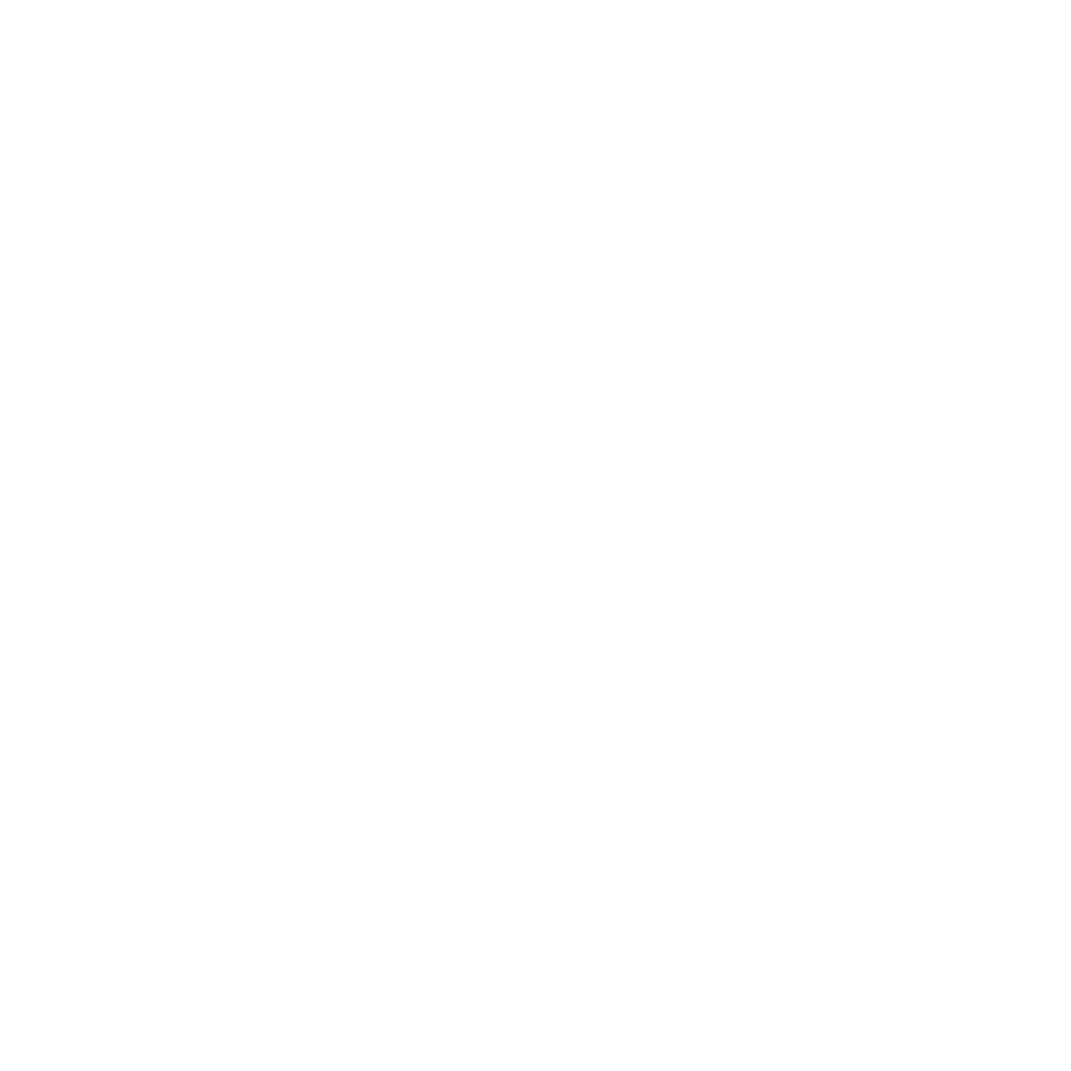Disc Golf Basket Logo #ffffff
