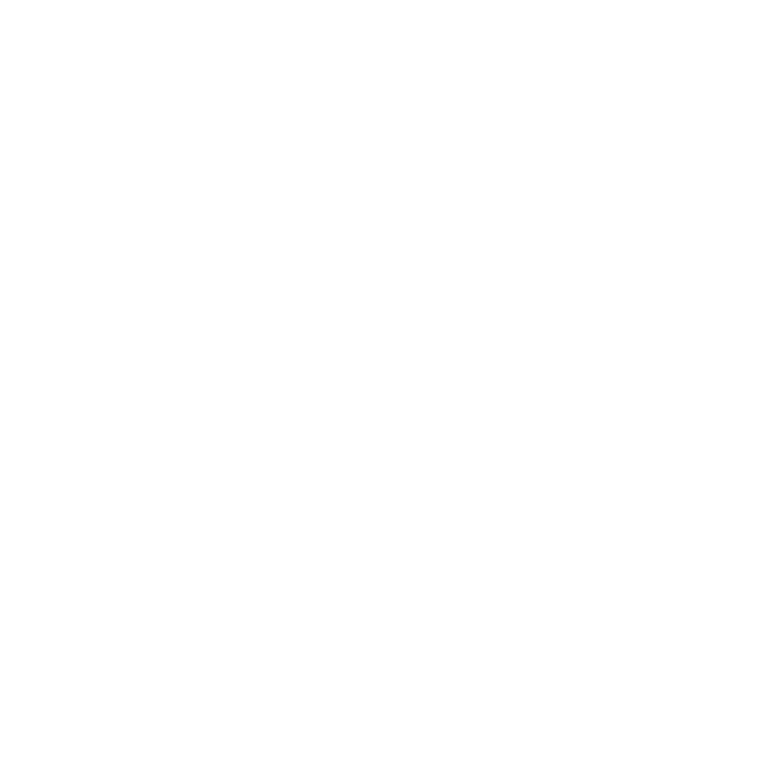Disc Golf Basket Logo #ffffff