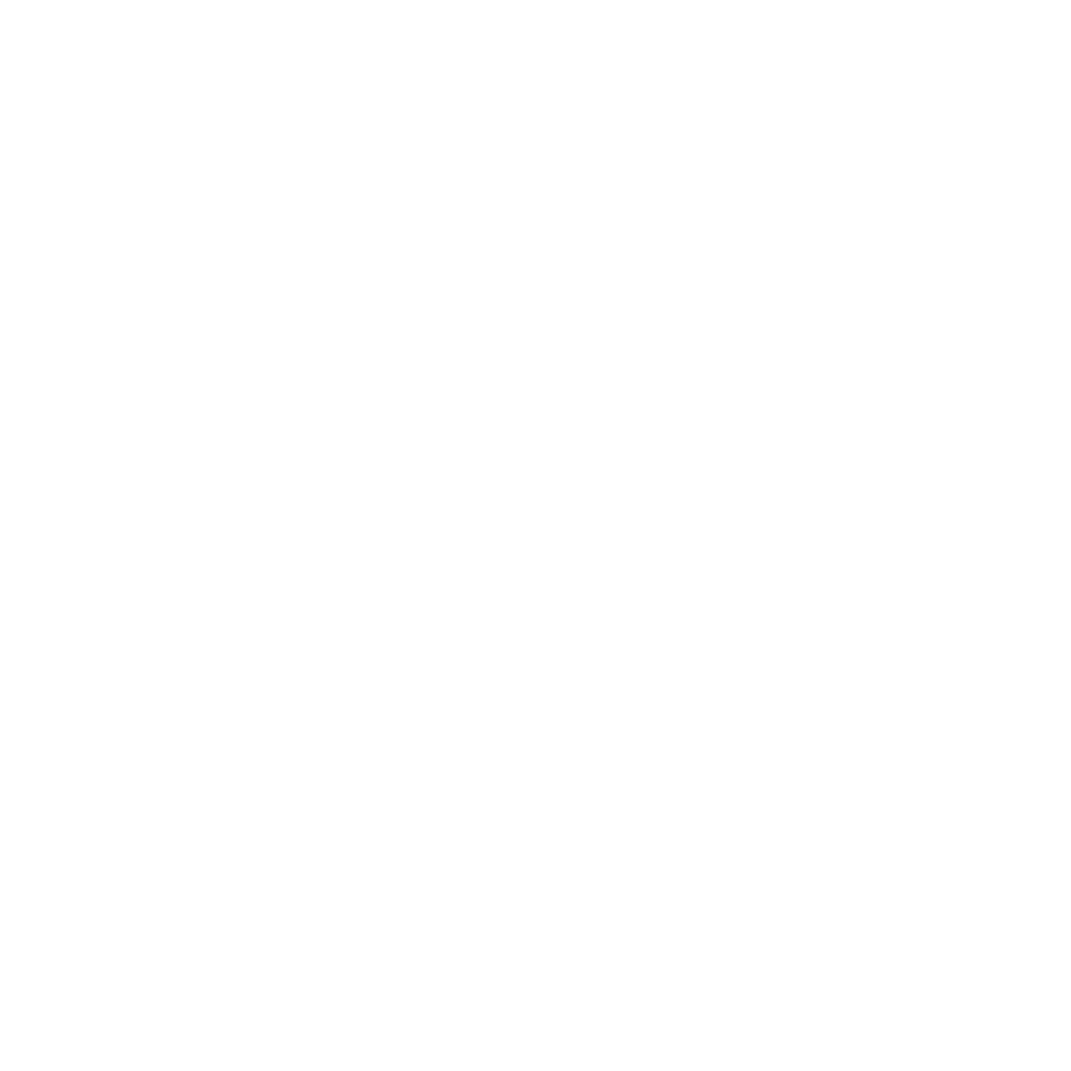 Disc Golf Basket Logo #ffffff