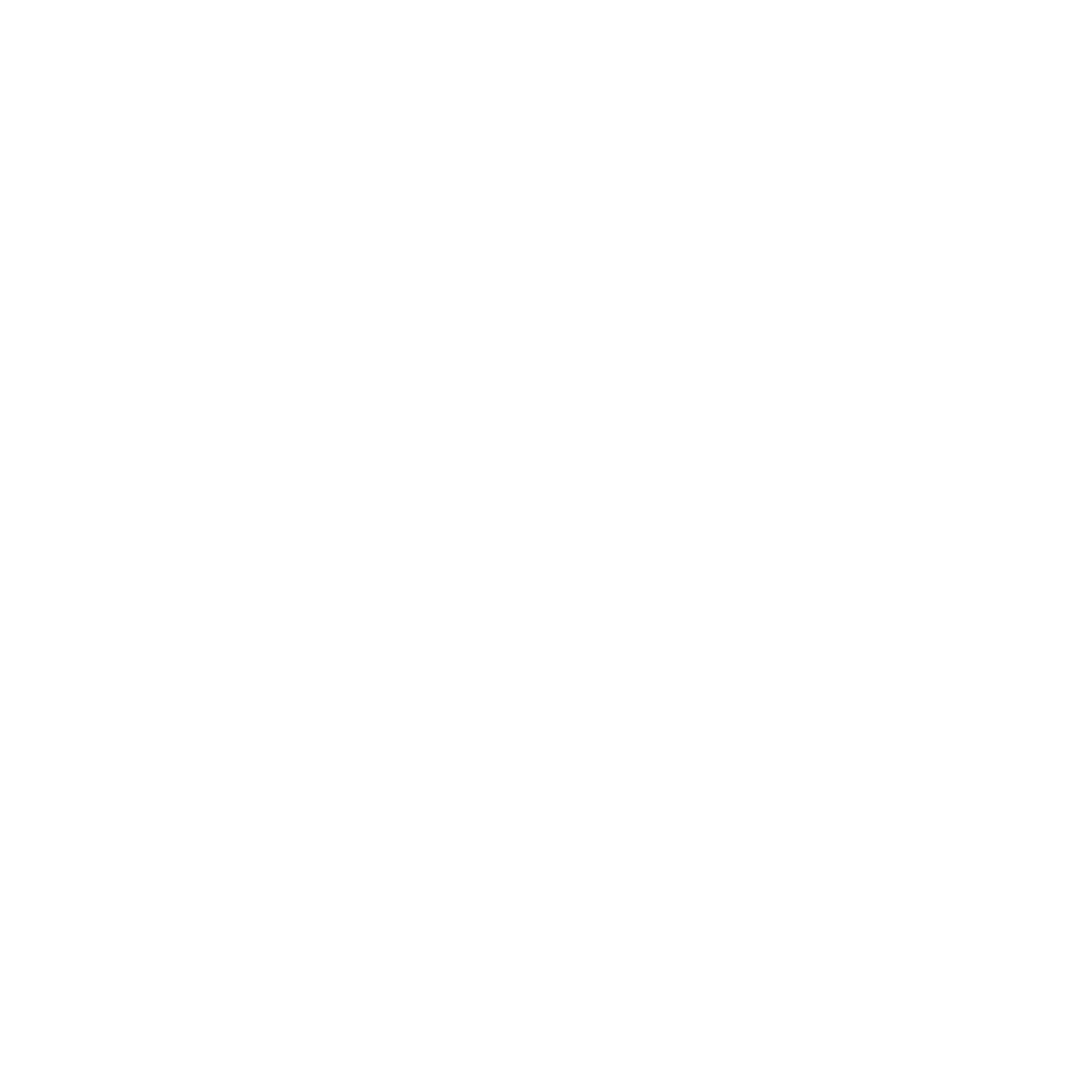 Disc Golf Basket Logo #ffffff