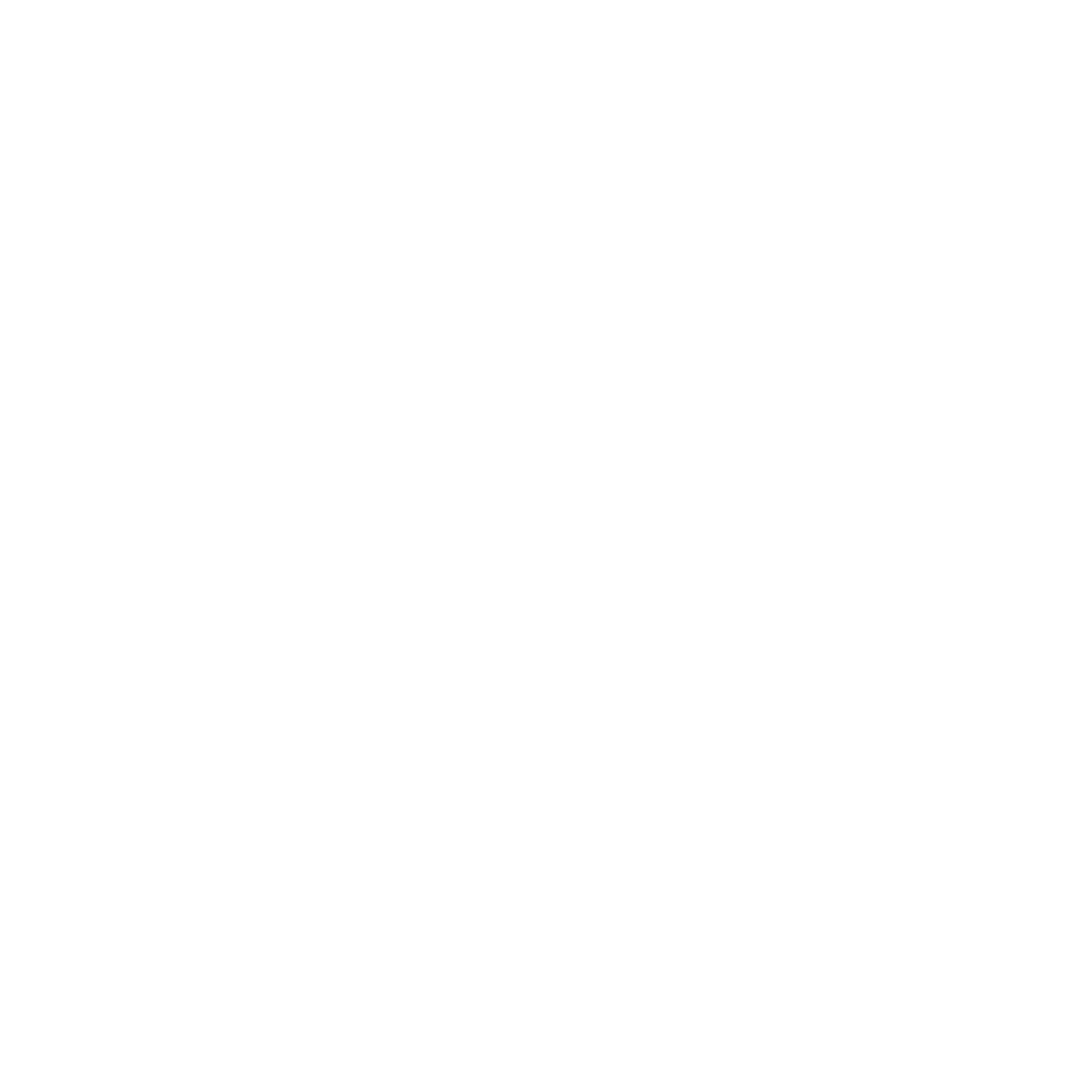 Disc Golf Basket Logo #ffffff