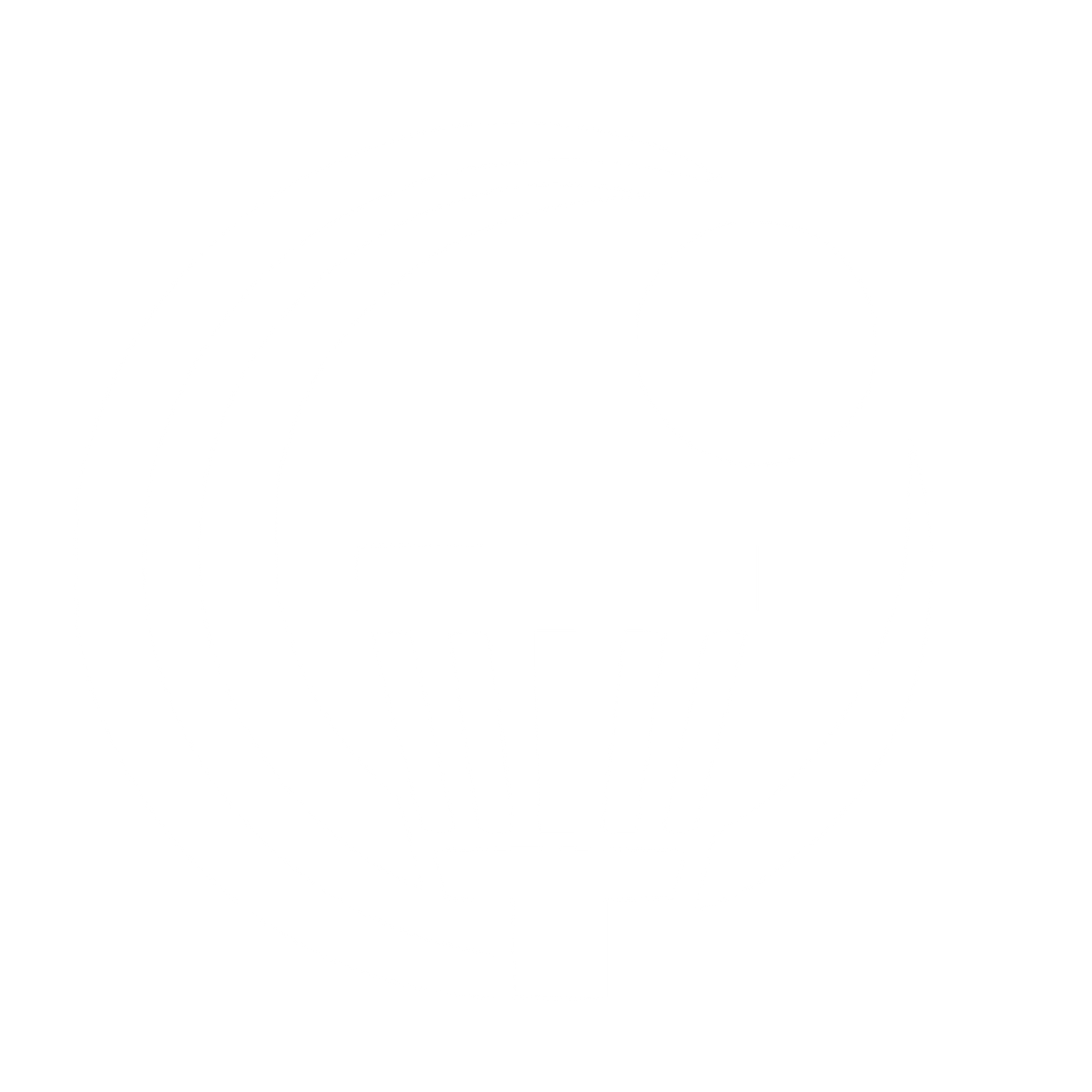 Disc Golf Basket Logo #ffffff