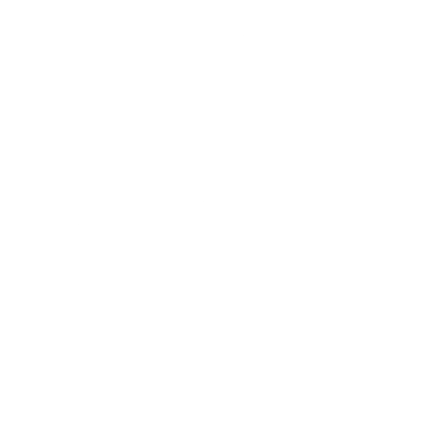 Disc Golf Basket Logo #ffffff
