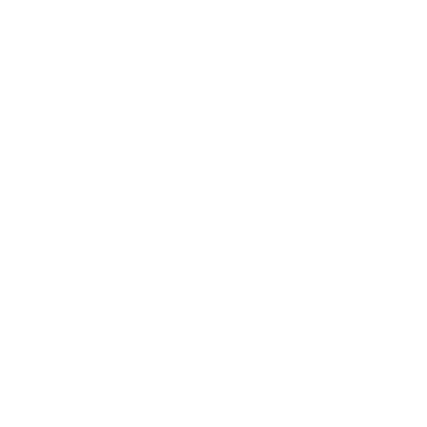 Disc Golf Basket Logo #ffffff