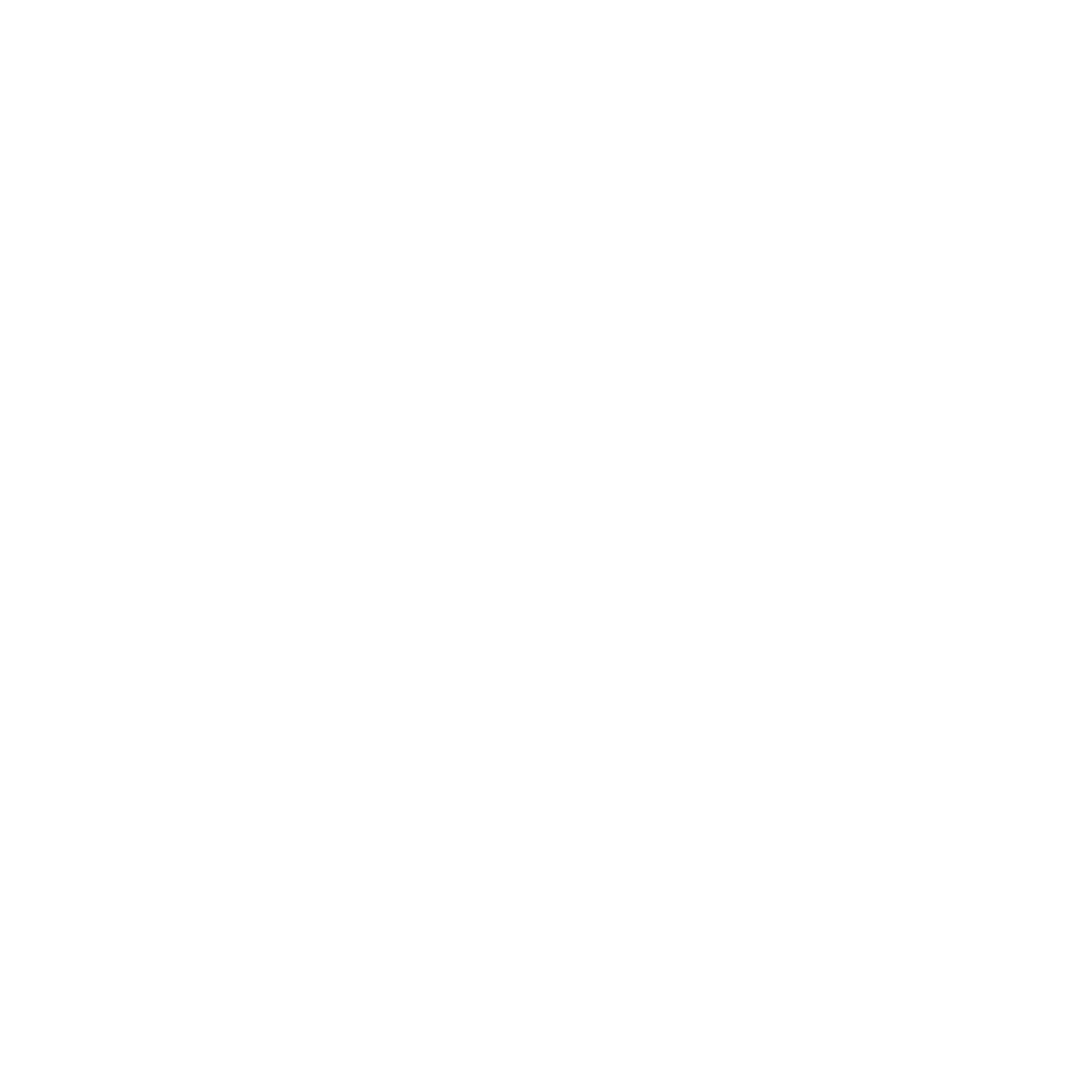 Disc Golf Basket Logo #ffffff