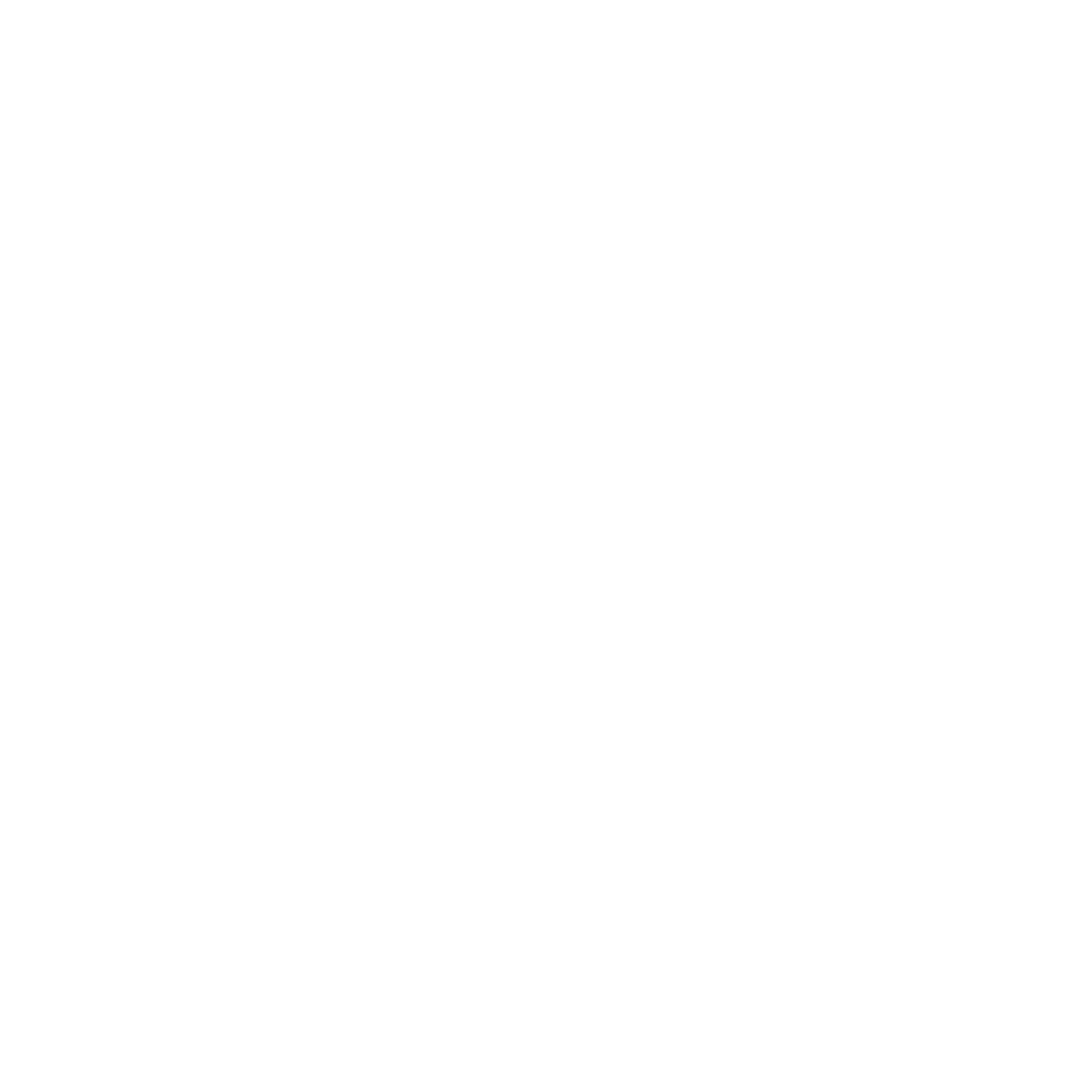 Disc Golf Basket Logo #ffffff