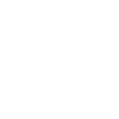 Disc Golf Basket Logo #ffffff