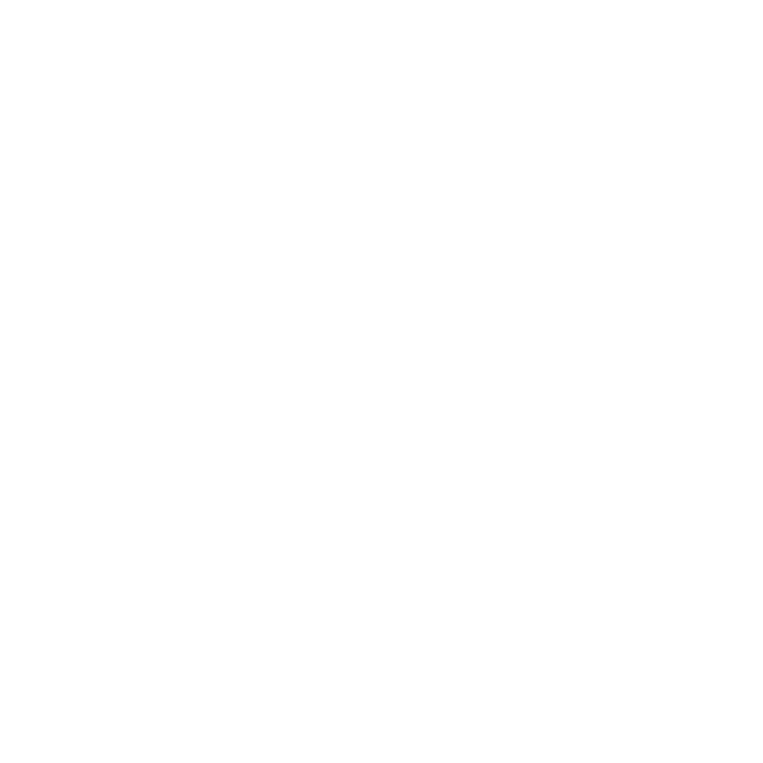 Segmented Ring Circle Logo #ffffff