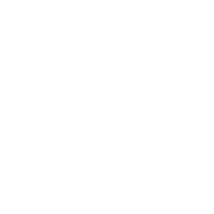 Ultimate Frisbee Shield Logo #ffffff