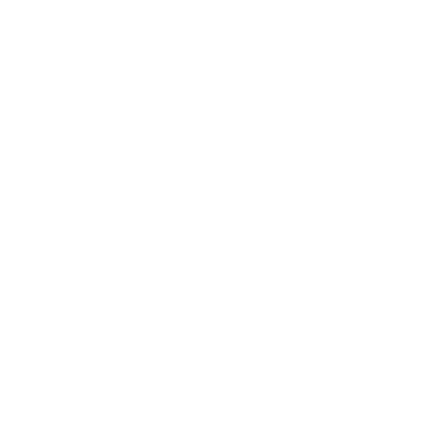 Diamond Gem Logo #ffffff