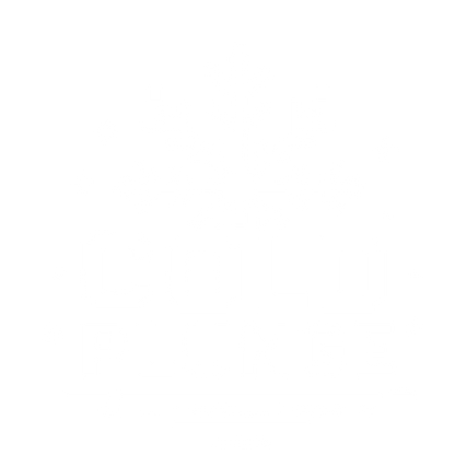 Pixel Snowflake Cold Plunge Logo #ffffff