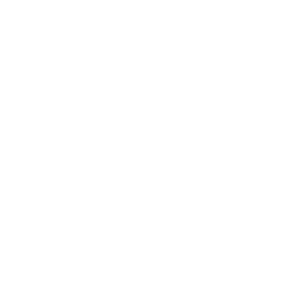 Pixel Snowflake Cold Plunge Logo #ffffff