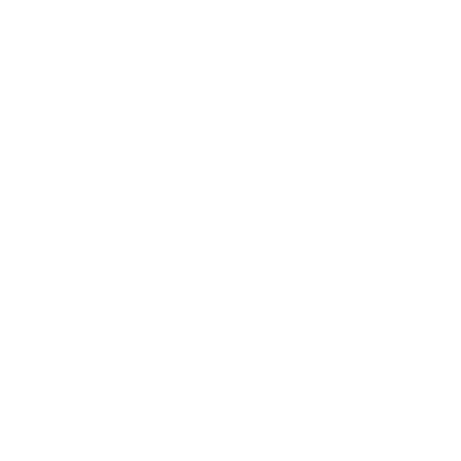 Swiss Sauna Steam Logo #ffffff