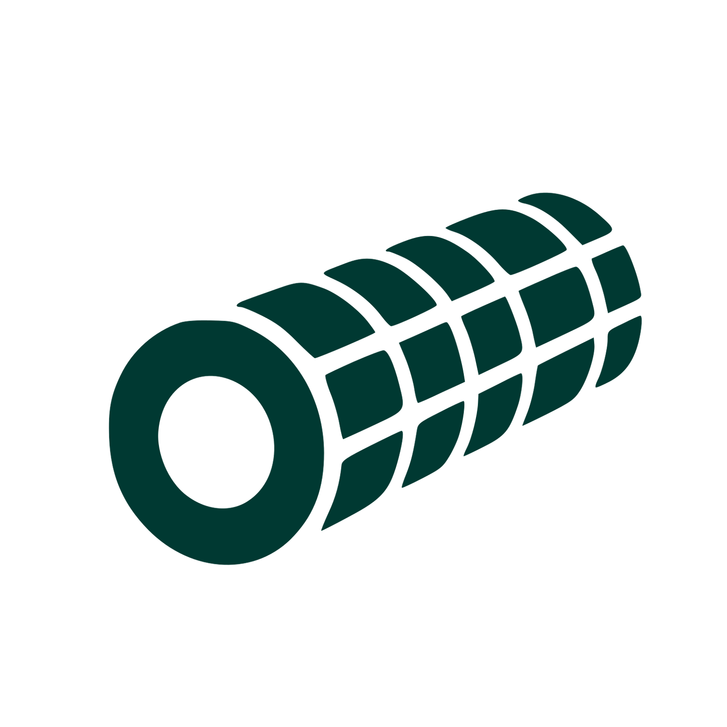Foam Roller Pictogram Logo #003932