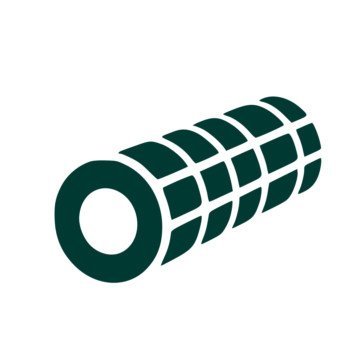 Foam Roller Pictogram Logo #003932