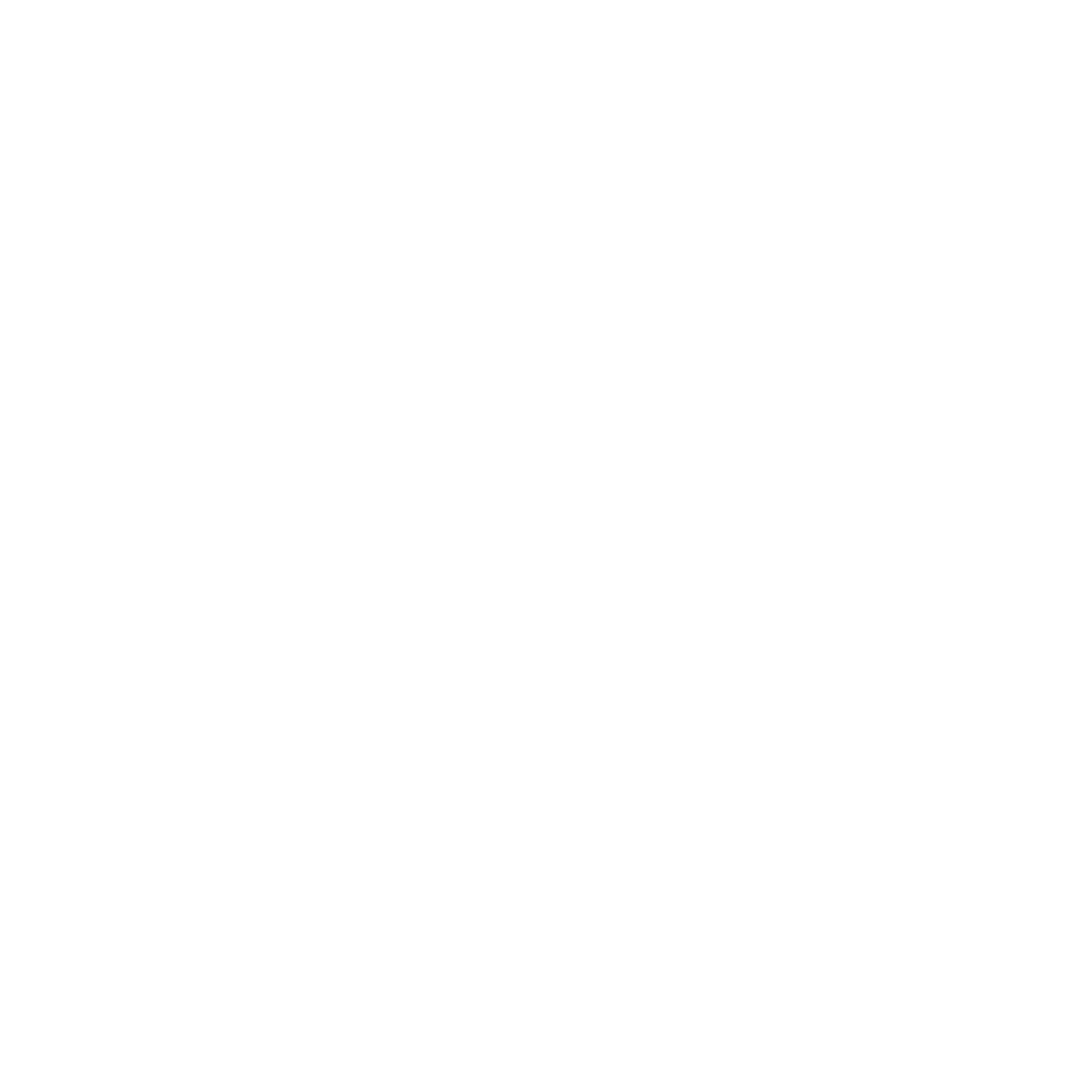 Massage Gun Wings Logo #ffffff