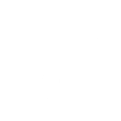 Drone Shield Security Logo #ffffff
