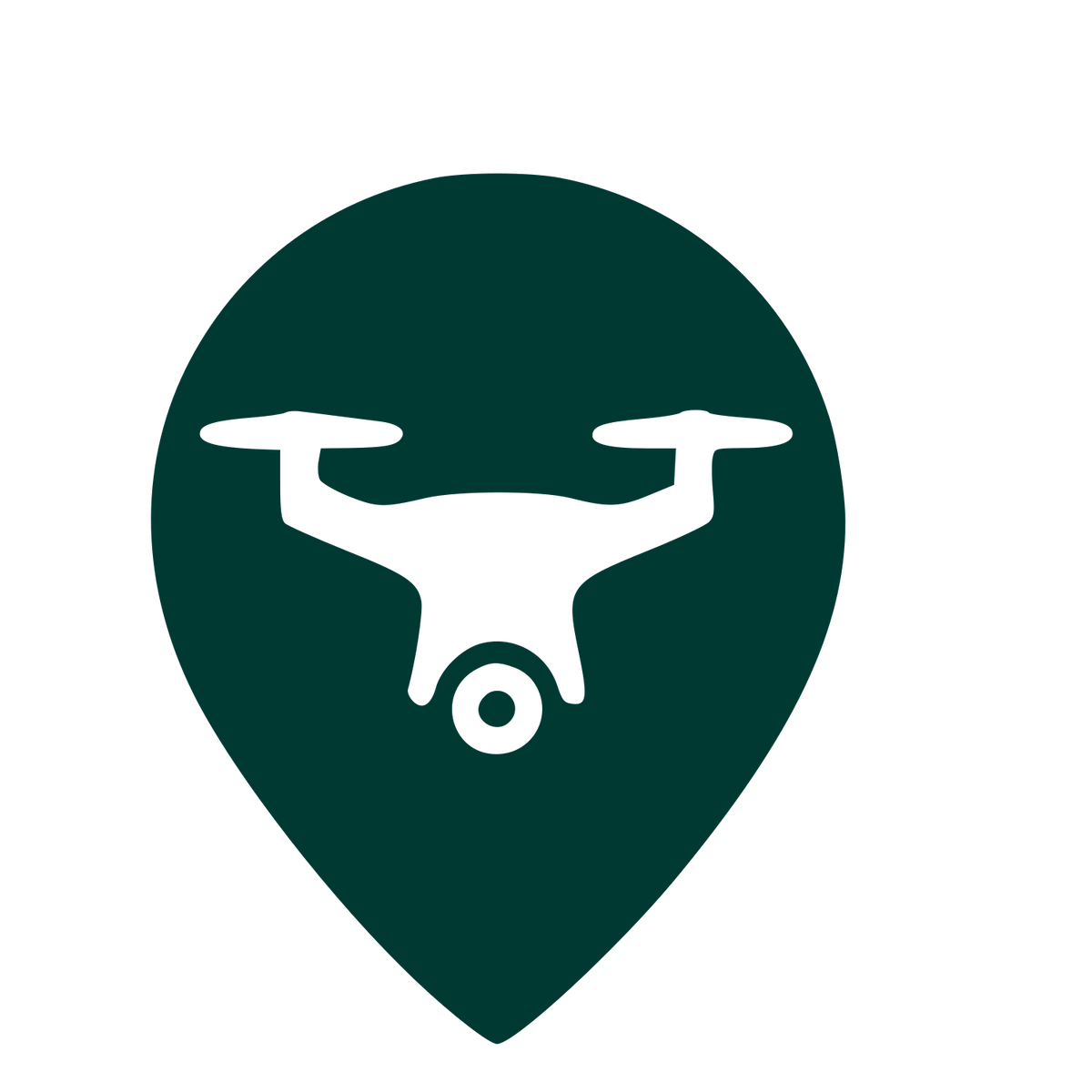 Drone Map Pin Logo #003932