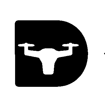 Drone in D Letter Logo