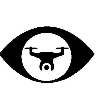 Drone Eye Negative Space Logo