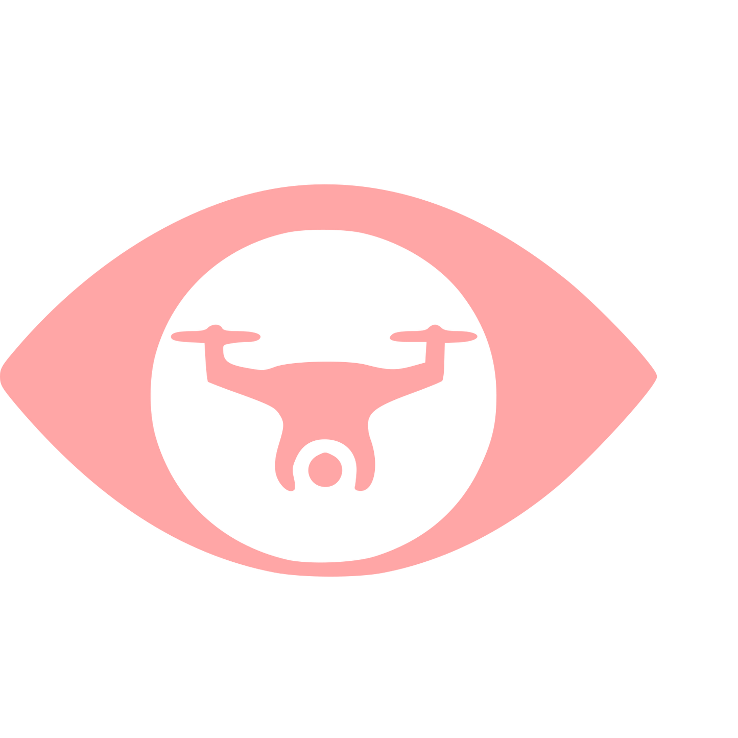 Drone Eye Negative Space Logo #ffa6a6