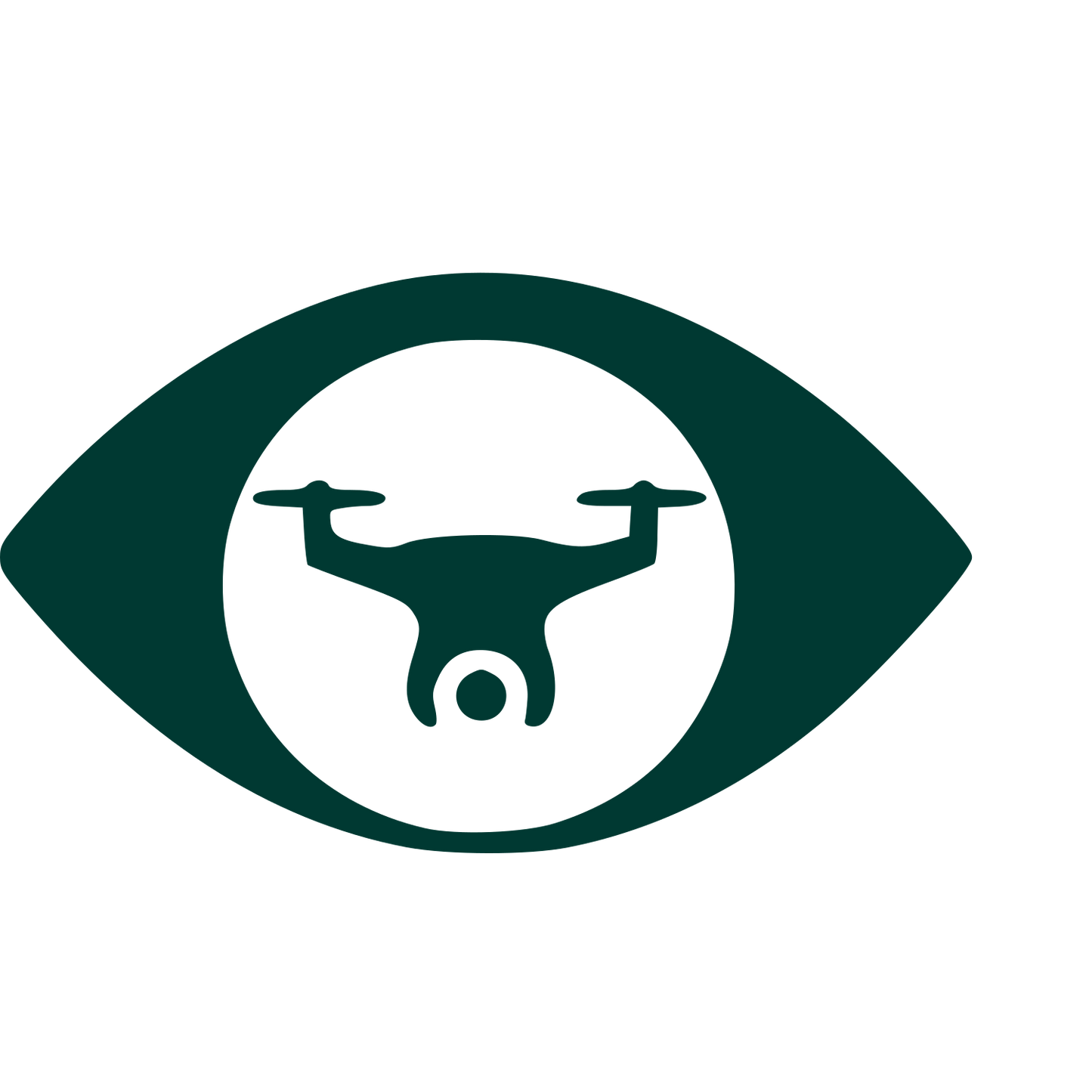 Drone Eye Negative Space Logo #003932