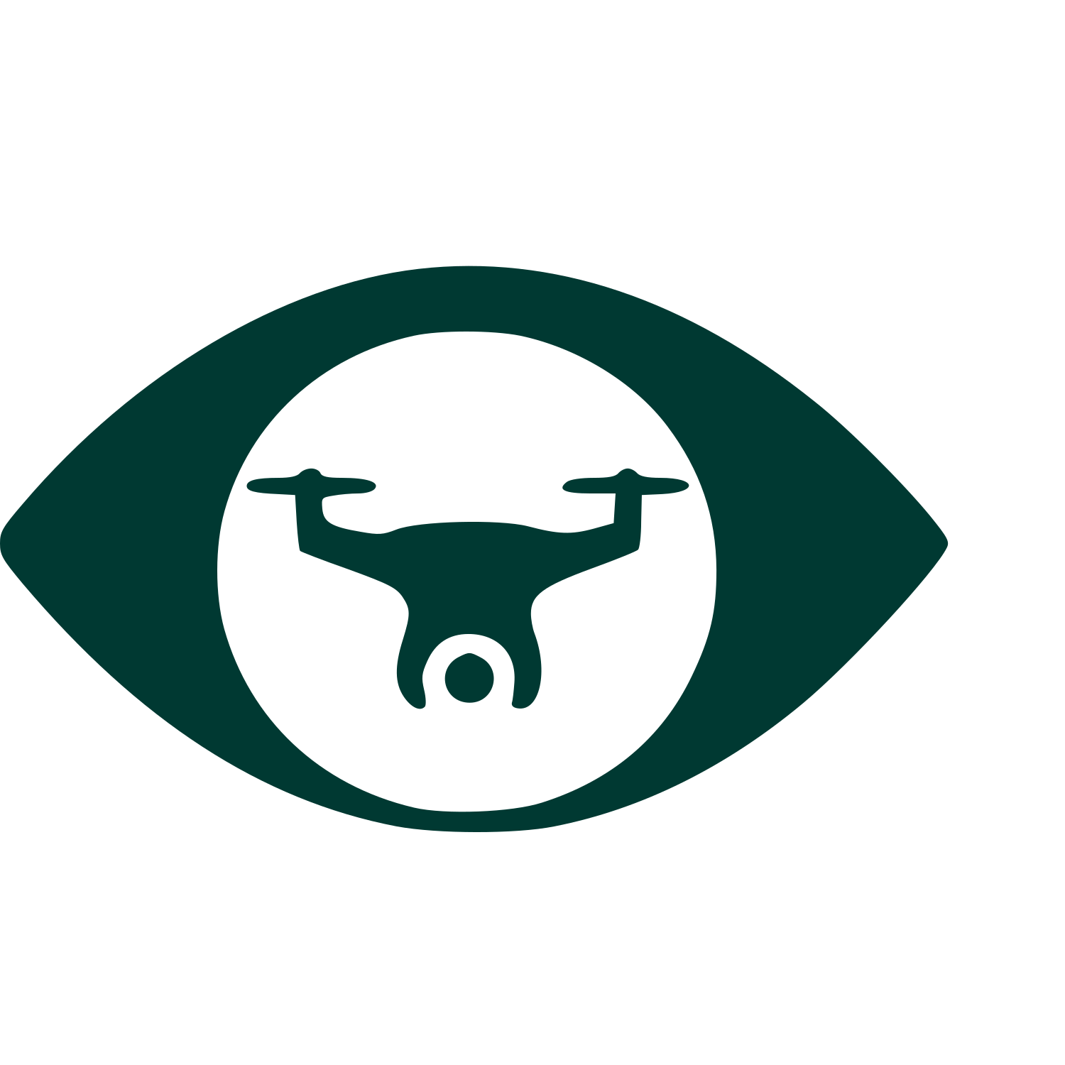 Drone Eye Negative Space Logo #003932