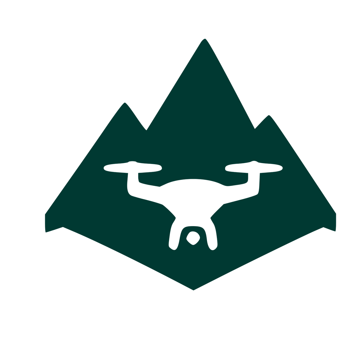 Drone Mountain Negative Space Logo #003932