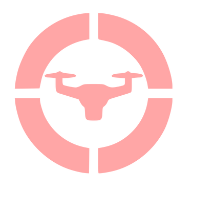 Drone Crosshair Target Logo #ffa6a6