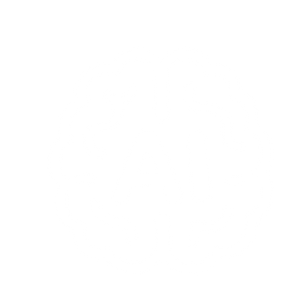 AI Brain Outline Logo #ffffff