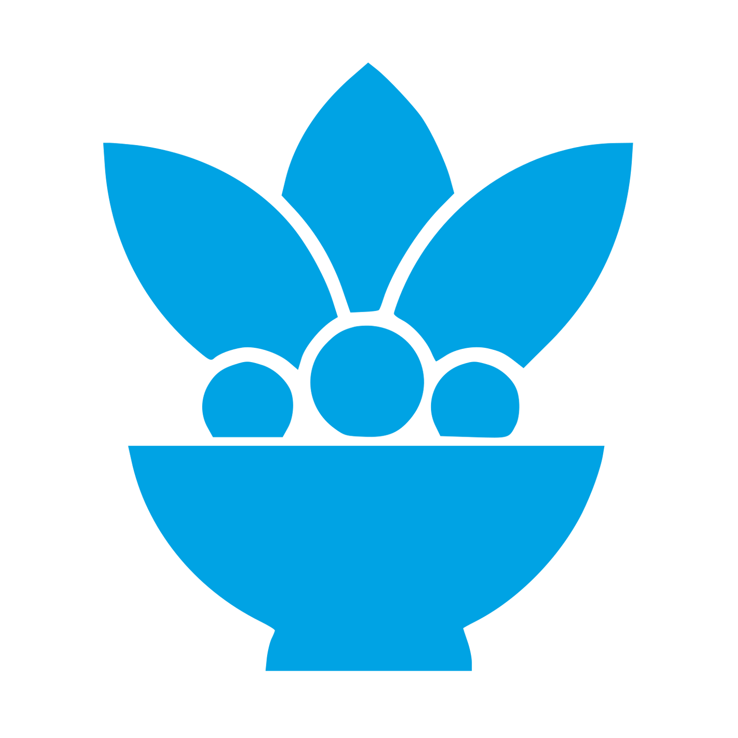 Acai Bowl Fruit Logo #00a3e4