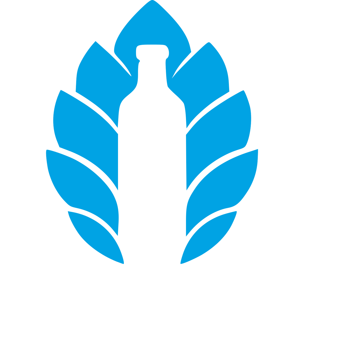 Kombucha Bottle Leaf Logo #00a3e4